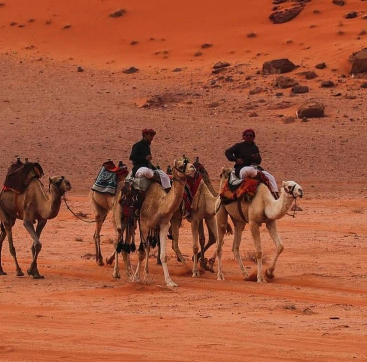 Bedouin Bunch Camp Hotel Wadi Rum Buitenkant foto