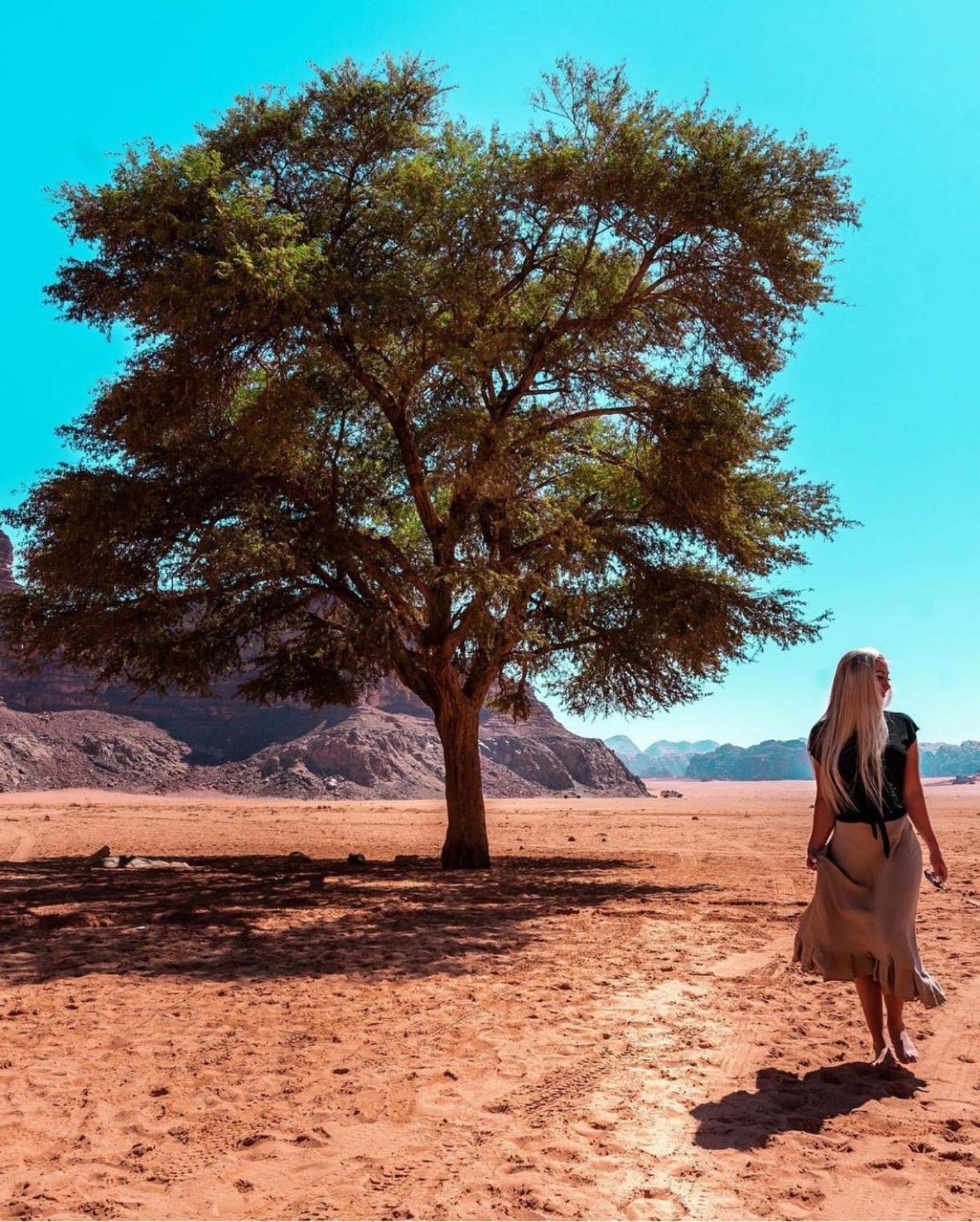 Bedouin Bunch Camp Hotel Wadi Rum Buitenkant foto