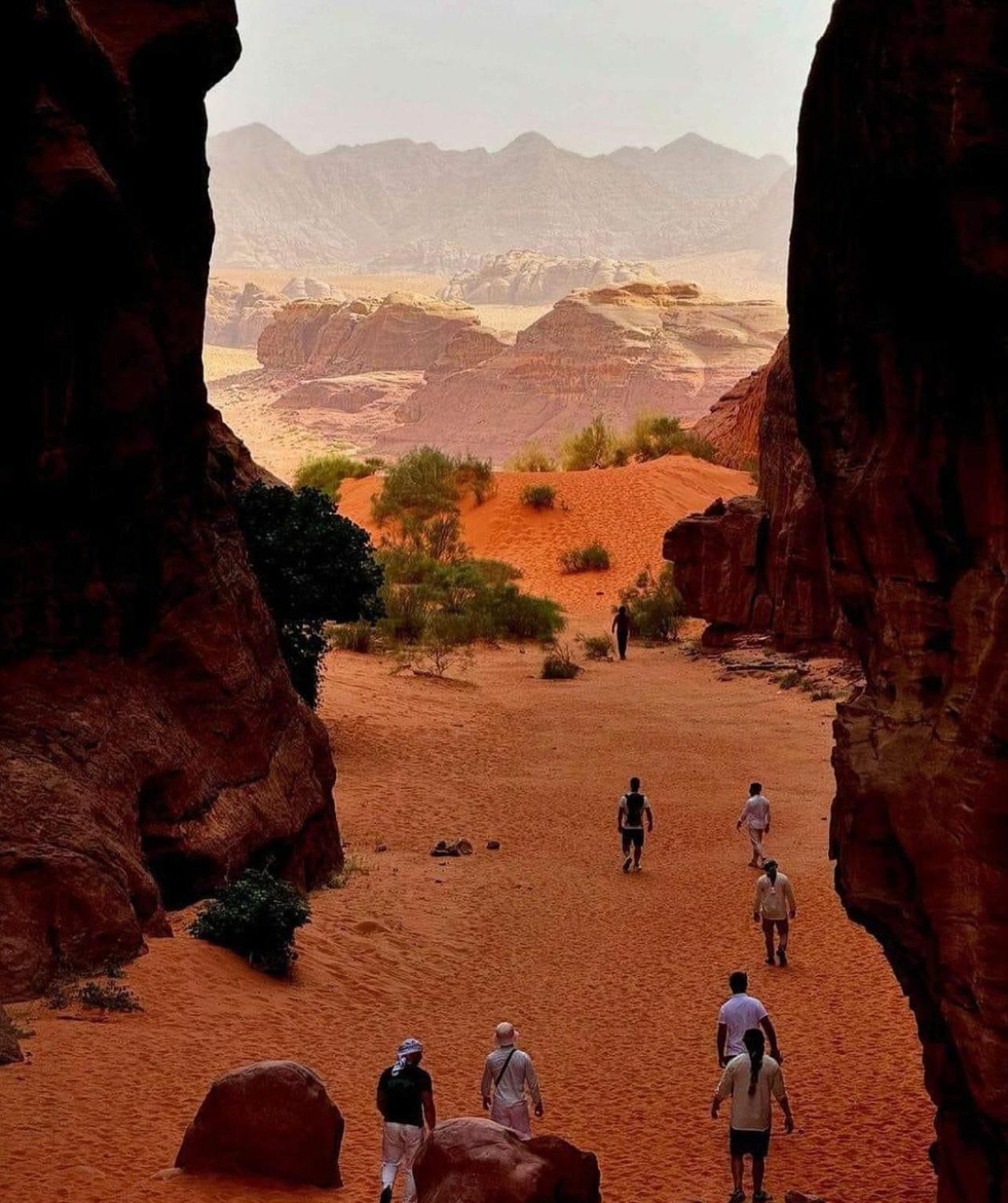 Bedouin Bunch Camp Hotel Wadi Rum Buitenkant foto